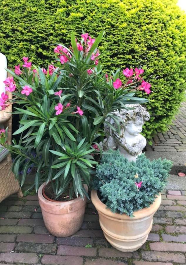 B&B Ereprijs Haag Eksteriør billede
