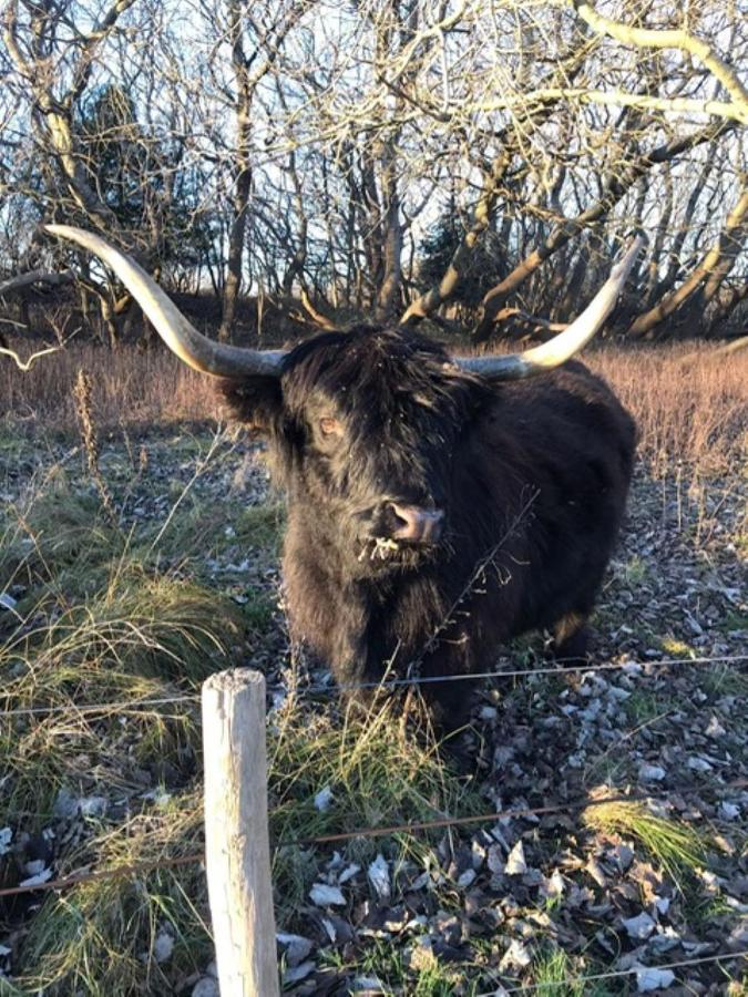 B&B Ereprijs Haag Eksteriør billede